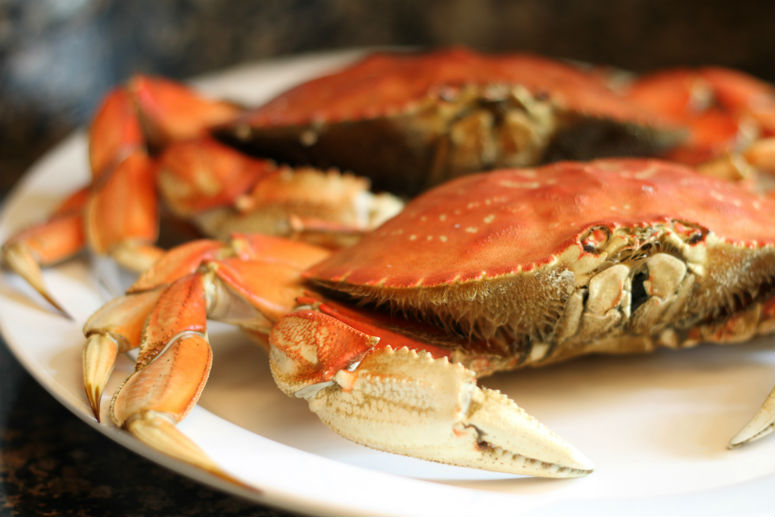 Steamed Dungeness Crab Recipe by Ceja Vineyards
