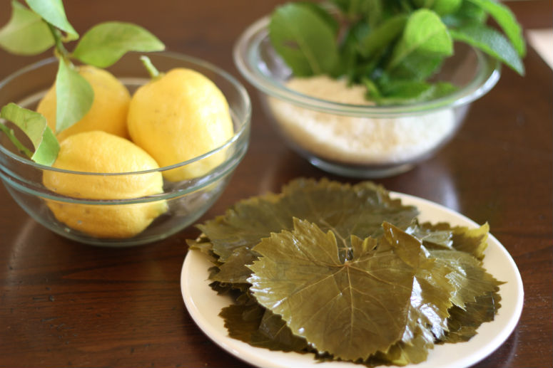 Dolmas or Stuffed Grape Leaves Recipe by Ceja Vineyards