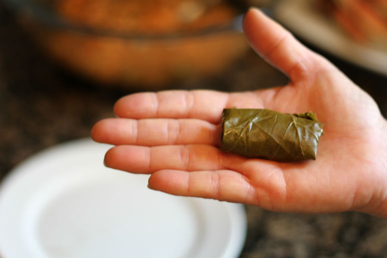 Dolmas or Stuffed Grape Leaves Recipe by Ceja Vineyards