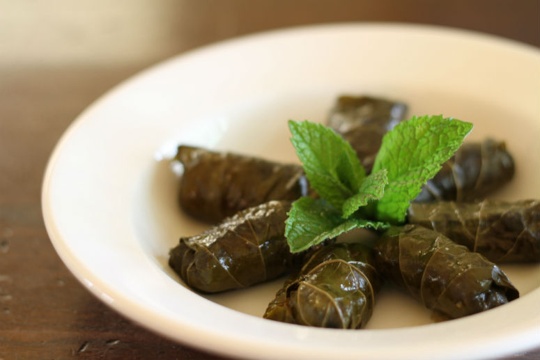 Dolmas or Stuffed Grape Leaves Recipe by Ceja Vineyards