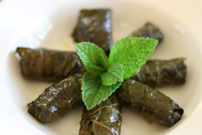 Dolmas or Stuffed Grape Leaves Recipe by Ceja Vineyards