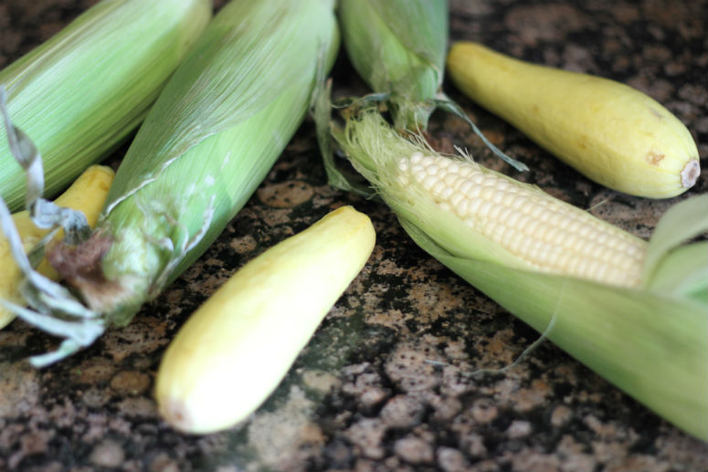 Succotash of Summer Squash and Corn Recipe by Ceja Vineyards