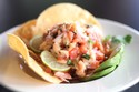 Salmon Ceviche